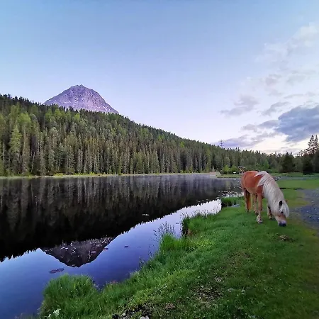 Bergdiamant Daire Nauders