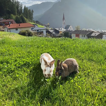 Bergdiamant * Nauders