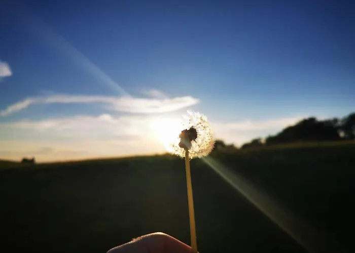 Bergdiamant Apartment
