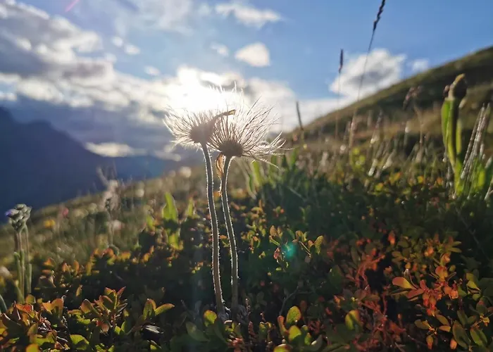 Bergdiamant Apartment