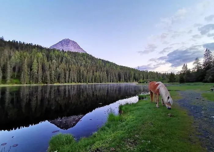 Bergdiamant Apartment Nauders