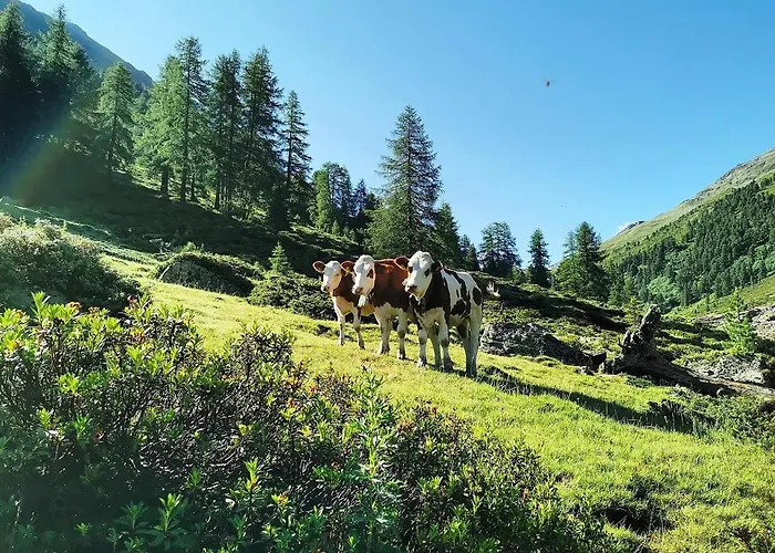 Bergdiamant Apartment *