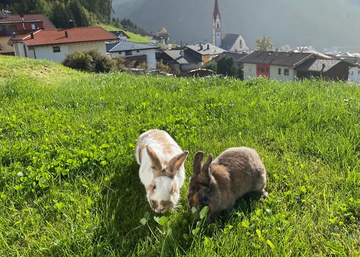 Bergdiamant * Nauders