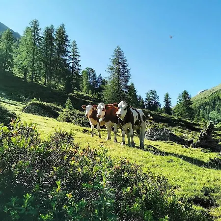 Bergdiamant アパート *